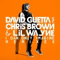 I Can Only Imagine (feat. Chris Brown & Lil Wayne) (David Guetta & Daddy's Groove Remix) - David Guetta - Chris Brown - Lil Wayne