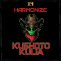 Kushoto Kulia - Harmonize