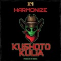 Kushoto Kulia - Harmonize