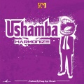 Ushamba - Harmonize