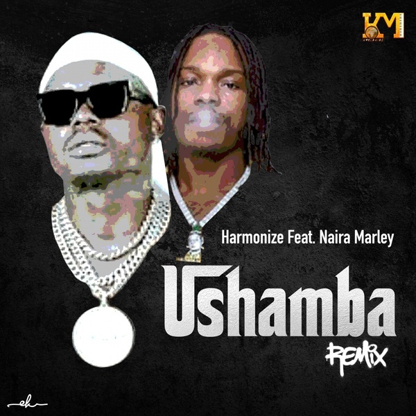 Ushamba (feat. Naira Marley) (Remix) -  