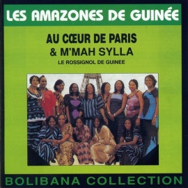 Les Amazones de Guinée (Introduction)