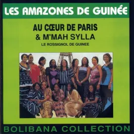 Les Amazones de Guinée (Introduction)