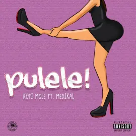 Pulele! (feat. Medikal)