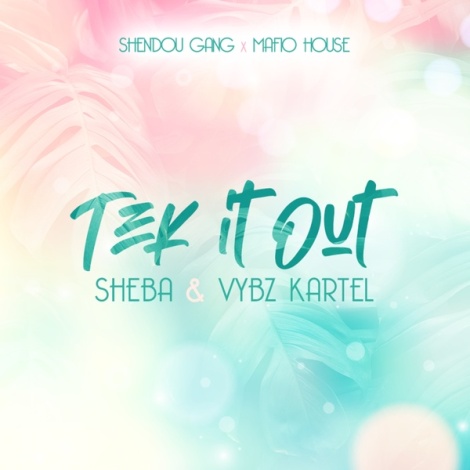 Tek It Out (feat. Shendou Gang, Mafio House)