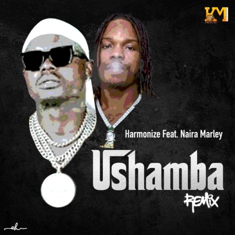Ushamba (feat. Naira Marley) (Remix)