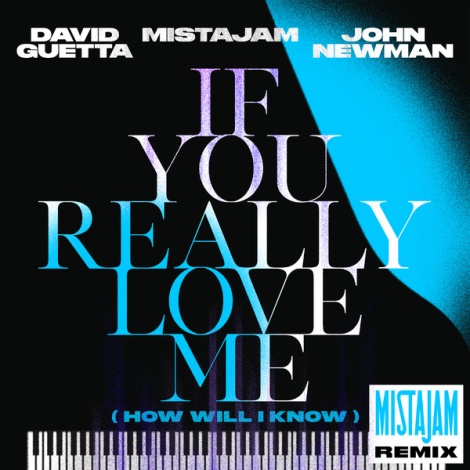 If You Really Love Me (How Will I Know) (MistaJam Remix)