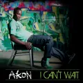 I Can't Wait (UK Radio Edit) - Akon
