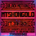 Mtshongolo - Black Motion