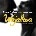 Wajellwa - Prince Kaybee