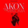 Stick Around - Akon