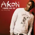 I Wanna Love You - Akon