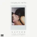 Suffer (Vince Staples & AndreaLo Remix) - Charlie Puth