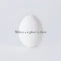 At Least That's What You Said - Wilco