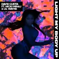 Light My Body Up (feat. Nicki Minaj & Lil Wayne) - David Guetta