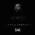 Speedometer - Shaik Omar