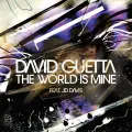 The World Is Mine (F*** Me I'm Famous Remix) - David Guetta