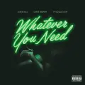 Whatever You Need (feat. Chris Brown & Ty Dolla $ign) - Meek Mill