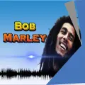 Caution - Bob Marley