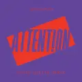 Attention (David Guetta Remix) - Charlie Puth