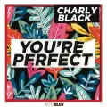 You're Perfect - Charly Black
