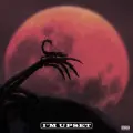 I'm Upset - Drake