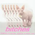 bitches - Tove Lo