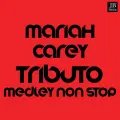 Mariah Carey Medley: Vision of Love / Love Takes Time / Someday / Emotions / Make It Happen / I'll Be There / Dream Lover / Hero / Without You / Anytime You Need a Friend / All I Want for Christmas Is You / Fantasy / One Sweet Day / Open Arms / Always Be (Hits Collection) - Silver