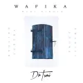 Wafika - Dr Tumi