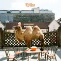 Wilco (the song) - Wilco