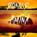 Amina (Radio Edit) - Donald