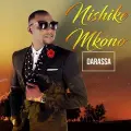 Nishike Mkono (feat. Winnie) - Darassa