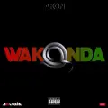 Wakonda - Akon