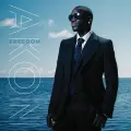 Holla Holla - Akon
