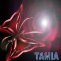 Cuore di farfalla - Tamia