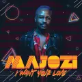 I Want Your Love - Majozi