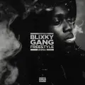 Blixky Gang Freestyle - 22Gz