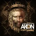 Used to Know (feat. Money J & Black Frost) - Akon