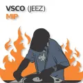 VSCO - Mip