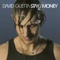 Stay (feat. Chris Willis) (Radio Edit) - David Guetta