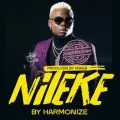 Niteke - Harmonize