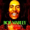 Reaction - Bob Marley
