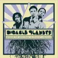 Intro - Digable Planets