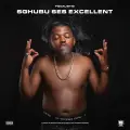 Sghubu Ses Excellent (feat. Madumane, MDU aka TRP & Bongza) - Focalistic