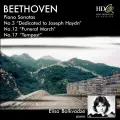 Piano Sonata No.3 in C Major, Op. 2, No.3 : I. Allegro con brio - Eliso Bolkvadze