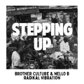 Stepping Up, Pt. 1 - Brother Culture