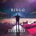 Dallali - Ringo