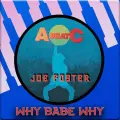 Why Babe Why - Joe Foster
