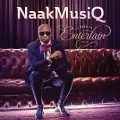 What Have You Done - NaakMusiQ