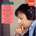 Swan Lake, Op. 20, Act II: No. 10, Scene. Moderato - André Previn